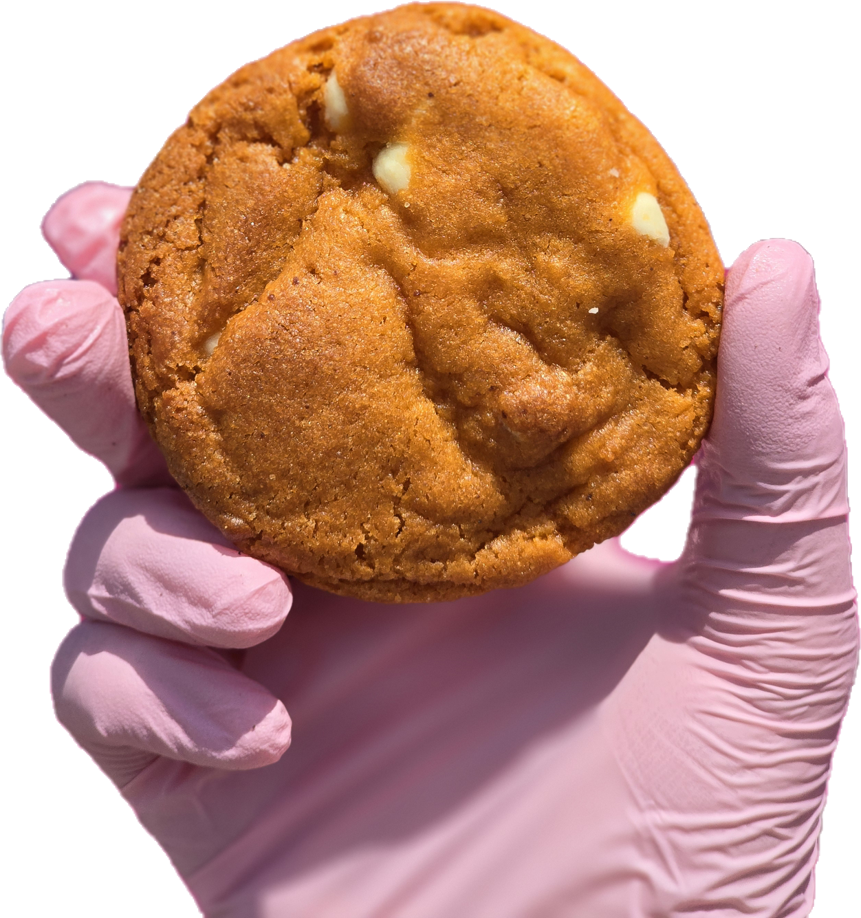 Celebrate Labor Day with a Sweet Deal: Free Orange Creamsicle Cookie with Every Order!