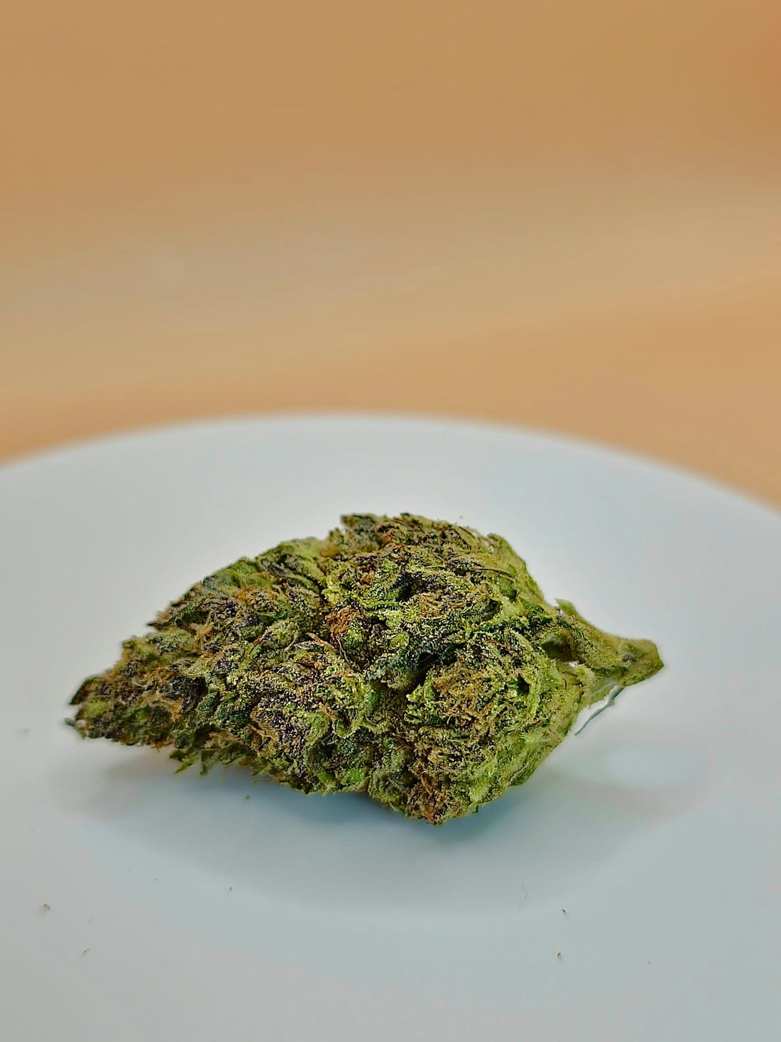 Flower to the People