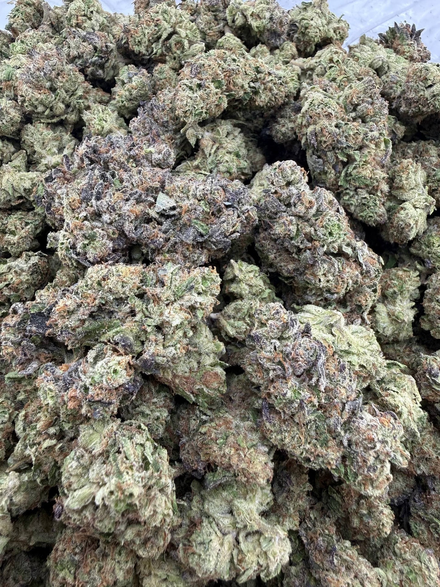 Sour Jack