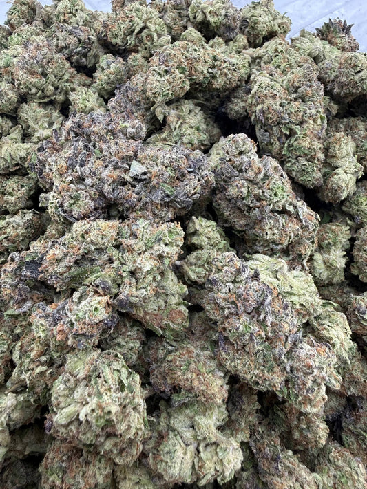 Sour Jack